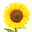 BackToNature Pharmacy logo